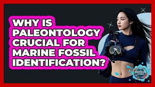 Why Is Paleontology Crucial For Marine Fossil Identification? - The Marine Life Explorer