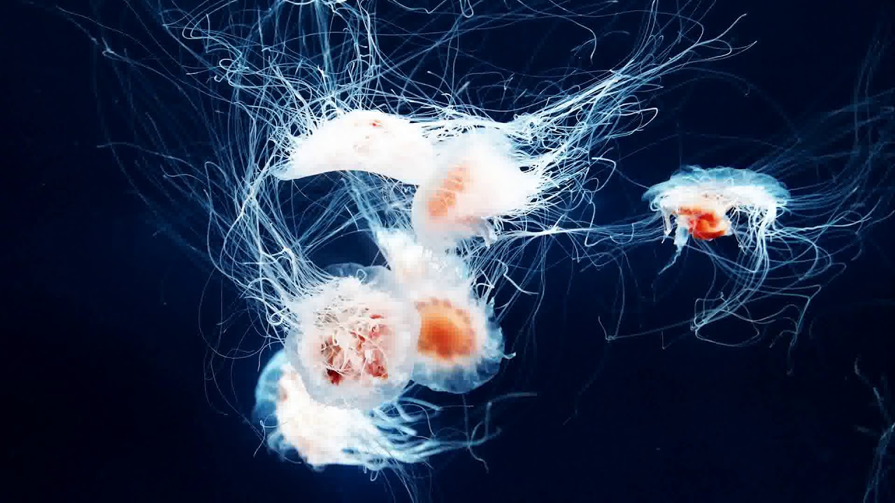 Deep Focus Music - Binaural Beats Concentration Music to Boost Alertness