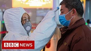 Scientists search for coronavirus vaccine - BBC News