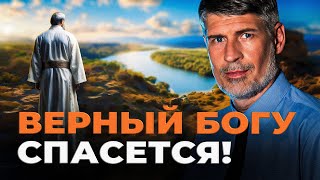 Как Елеазар смог попасть в Землю Обетованную? Феликс Понятовский