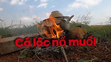 Cá lóc nổ muối hột | ẩm thực đồng quê | Lê Thành Nghĩa Vlog