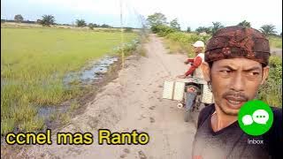 terik pemasangan jaring belibis mudah dn peraktis, hasil melimpah ,..