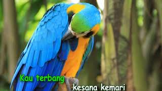 Lagu Anak HHK - Kicau burung
