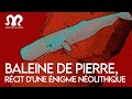 Baleine de pierre rcit dune nigme prhistorique  12
