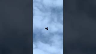Gripen över Halmstad