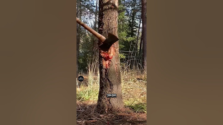 Is a bleeding tree real? 😱 #facts
