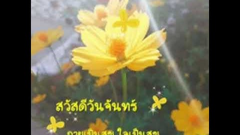 สวัสดีวันจันทร์"คิดถึง"💛"พงษ์สิทธิ์ คำภรี