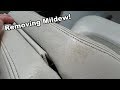 How to get mildew out of vinyl seats