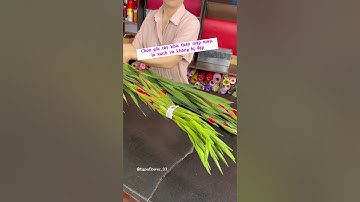 NHẤT ĐỊNH BẠN PHẢI BIẾT ĐIỀU NÀY KHI CHƯNG HOA LAY ƠN DỊP TẾT!!