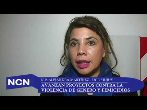 Dip. Alejandra Martínez - Proyectos de ley contra Violencia de género y femicidios