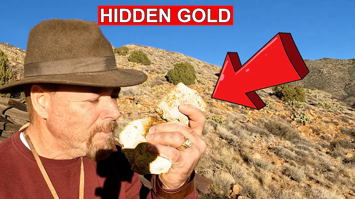 I Found a MASSIVE Abandoned Gold Mine Hidden Ore & Full Tour