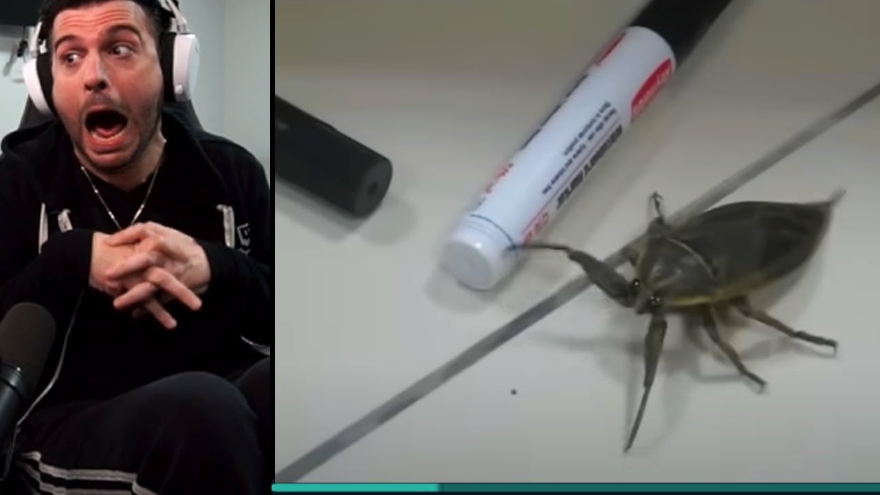 We Laugh and React to the CRAZY Media share you send #89