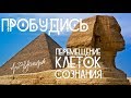 Пробудись. Перемещение клеток сознания