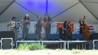 MeadowGrass 2024: Patchwork Jack