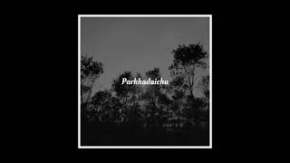 Video thumbnail of "Parkhadaichu (Audio)"