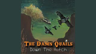 Video thumbnail of "The Damn Quails - Midnight Swagger"