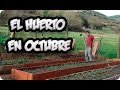 El Huerto En Octubre Otoño || Paseo Por El Huerto || La Huertina De Toni