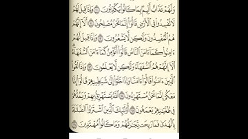 سورة البقرة من الآية (١١-١٦) محمد أحمد أبوغنيمة #المصحف-المرتل #القرآن_الكريم