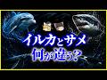 【ゆっくり解説】なぜここまで似た?イルカとサメ、何が違う?を解説/収斂進化が生んだ別物すぎる生き物…4億年の進化が生んだ“海の最適解”とは