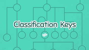 4 Lesson Presentation Classification Keys