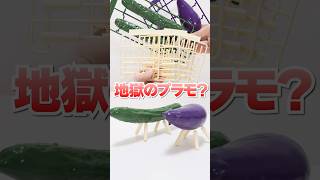 絶対に買ってはいけない?地獄のプラモデル ~精霊馬プラモ~ #Shorts #プラモデル #DIY #food Plastic Model Kit
