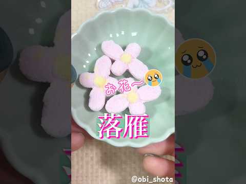 【食レポ】好みでした😭✨はじめての落雁(らくがん)～おびくんのんまんま探し~ ＃３【商品紹介/レビュー】【落雁/お干菓子】【VTuber】#Shorts #和菓子