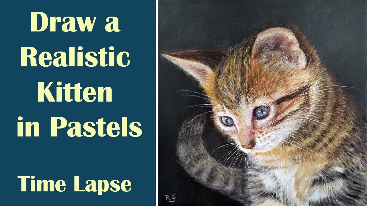 How to Draw a Realistic Cat - Learn to Draw a Realistic Cat Portrait