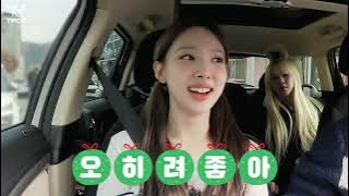 (Sub Indo) TWICE REALITY TIME TO TWICE Healing December EP.01