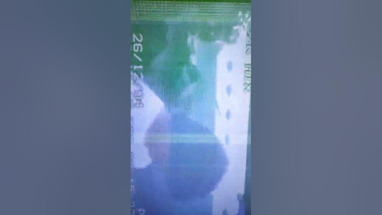Video tsunami aceh 2025 cut putri