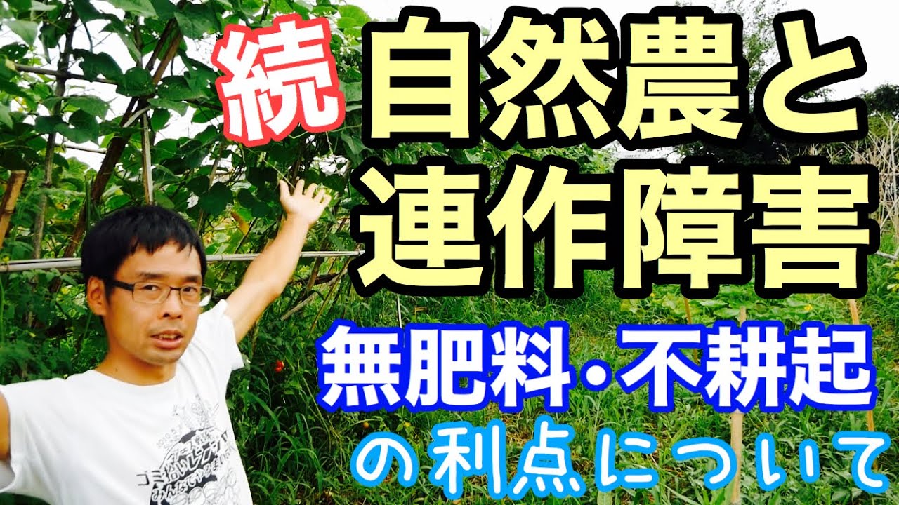 続 連作障害と自然農の話 家庭菜園こそ取り入れたい無肥料不耕起のメリット 年7月30日 Youtube