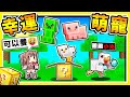 Minecraft【幸運方塊】超萌❤幸運小寵物【直接得到能力】😂!! １９+種【超可愛の怪物】!! 每一種都有不一樣的能力 !! 抽到烈焰神直接起飛XDD !! 幸運寵物戰爭 !! 全字幕