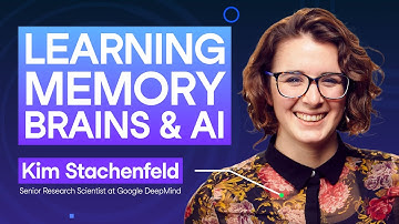 #214 Learning, Memory, Brains & AI | Kim Stachenfeld, Snr Research Scientist at Google DeepMind