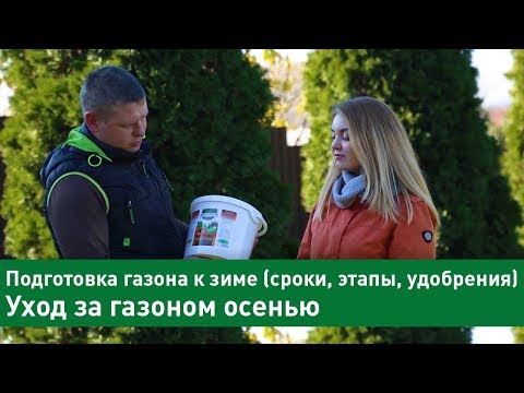 Подготовка газона к зиме (сроки, этапы, удобрения) | Уход за газоном осенью