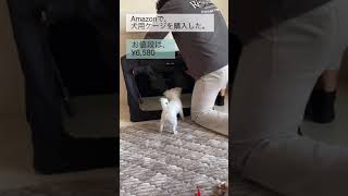 【30秒】FEANDREAの犬用ケージを購入したので動画にしてみました。