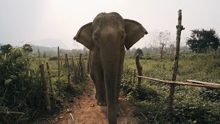 3 Days in Laos