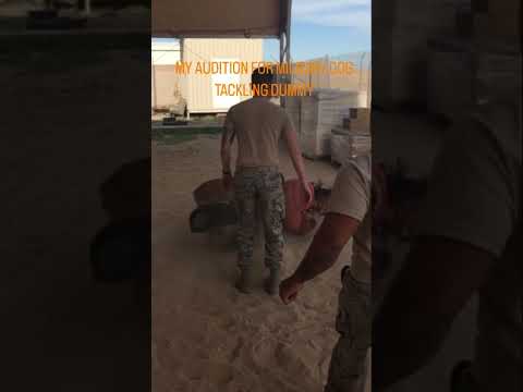 This Military Dog Laid Me Out