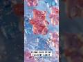 How Millions of Gummy Bears Are Made Every Day