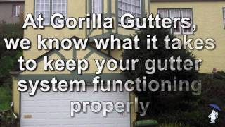 Gutter Cleaning Company in Berkeley