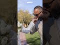 بريجيت ياغي تدخل القفص الذهبي لتاني مرة 