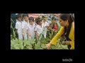 Vegetables  garden   role play   class nursery  bachpan play school bhabua