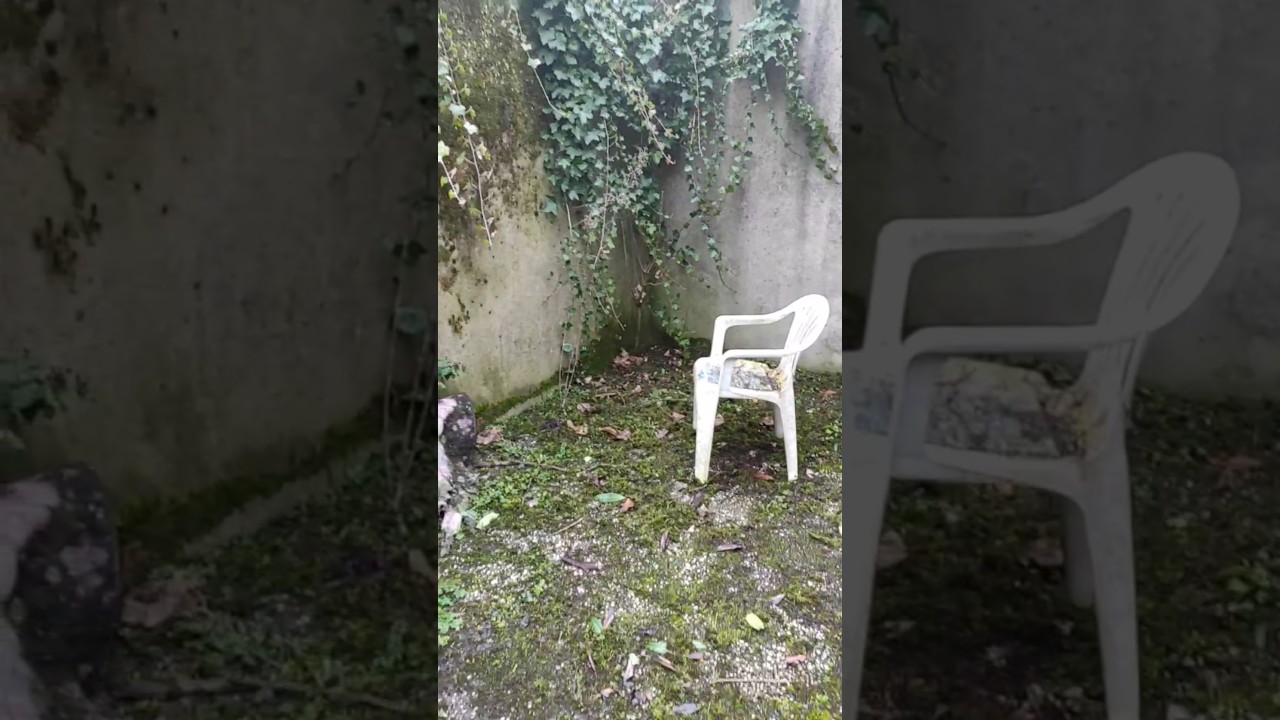 Мастерская во дворе.Часть 1