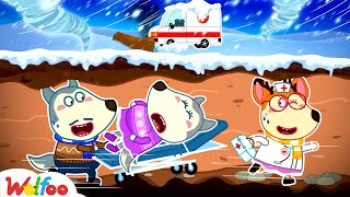 The Tornado is Coming But Mom is Pregnant!!! - Wolfoo Mom Went to the Hospital 🤩 Wolfoo Kids Cartoon