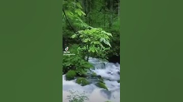 #رَبِّ ٱجۡعَلۡنِی مُقِیمَ ٱلصَّلَوٰةِ وَمِن ذُرِّیَّتِیۚ رَبَّنَا وَتَقَبّ_سورة إبراهيم#Gamal Belkan