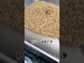 Household Rice Milling Machine