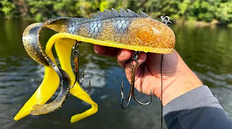 Crazy Wisconsin Musky Action!! - They Bit All Day!!