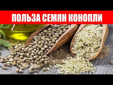 Вот почему Семена Конопли нужно есть чаще