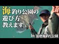 【須磨海づり公園】何魚種釣れる⁉海釣り公園の遊び方教えます！