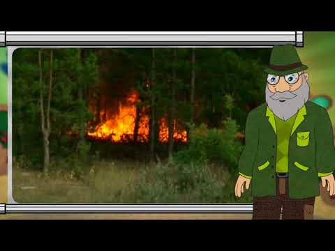 Erdő Ernő bácsi meséi -  Hol lehet tüzet rakni az erdőben?