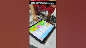 Sorteerplezier | Learnwithus Activiteit l #shorts #learnwithus #activiteit @learnwithus13