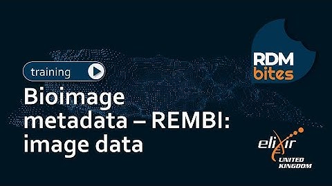 RDMbites | Bioimage metadata – REMBI: image data